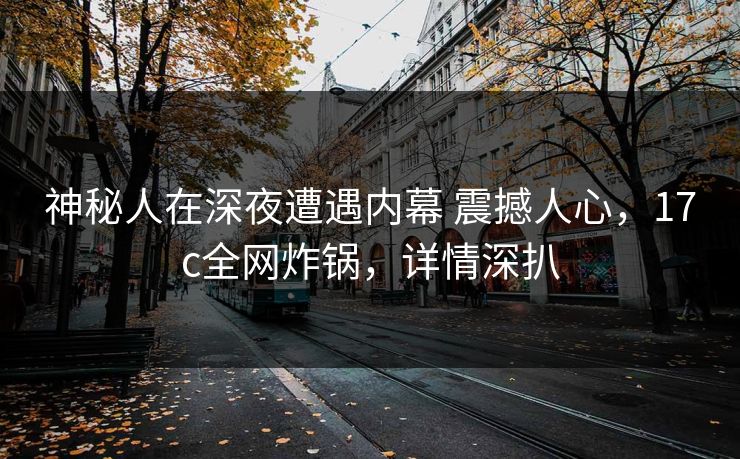 神秘人在深夜遭遇内幕 震撼人心，17c全网炸锅，详情深扒